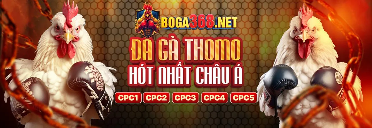 Hướng dẫn cá cược trực tuyến cho người mới bắt đầu tại Thabet Trang Chủ